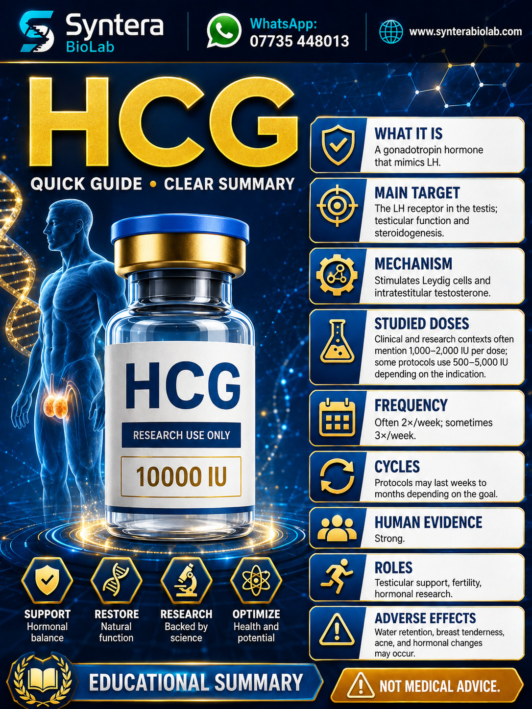 hCG — Syntera BioLab catalogue